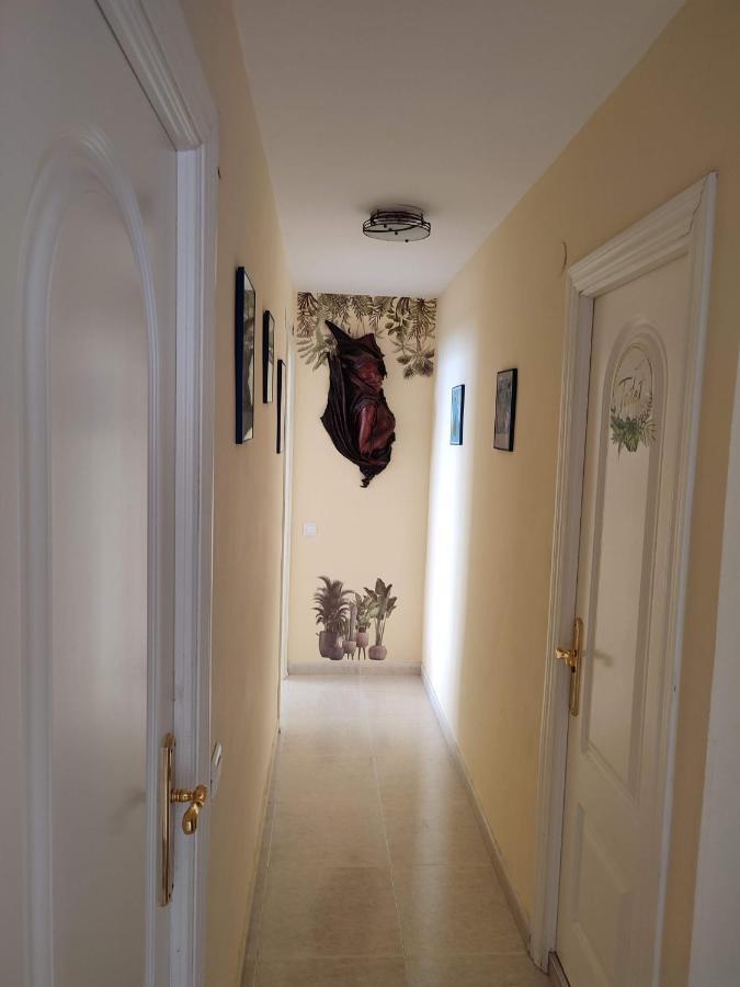 Apartamento En Playa Semi-Privada Беналмадена Екстериор снимка